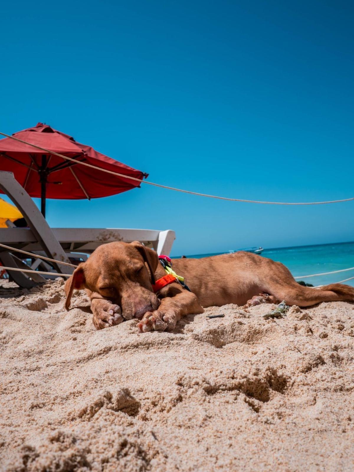 Casa La Vie En Rose Cartagena